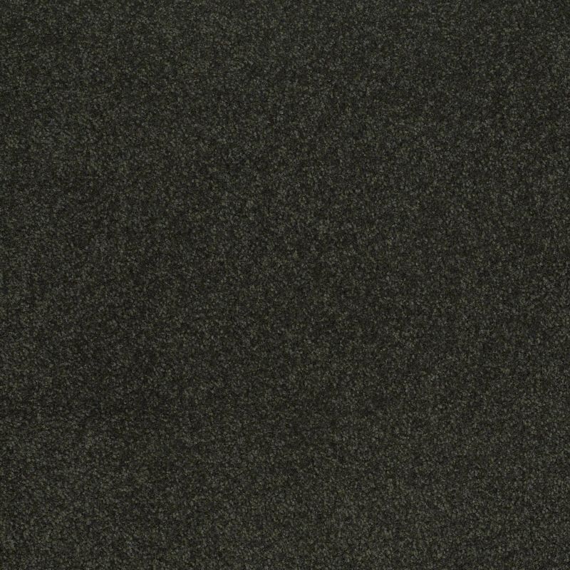 Shaw Floors Value Collections Sandy Hollow Classic Iv 15' Ne Lilly Pad