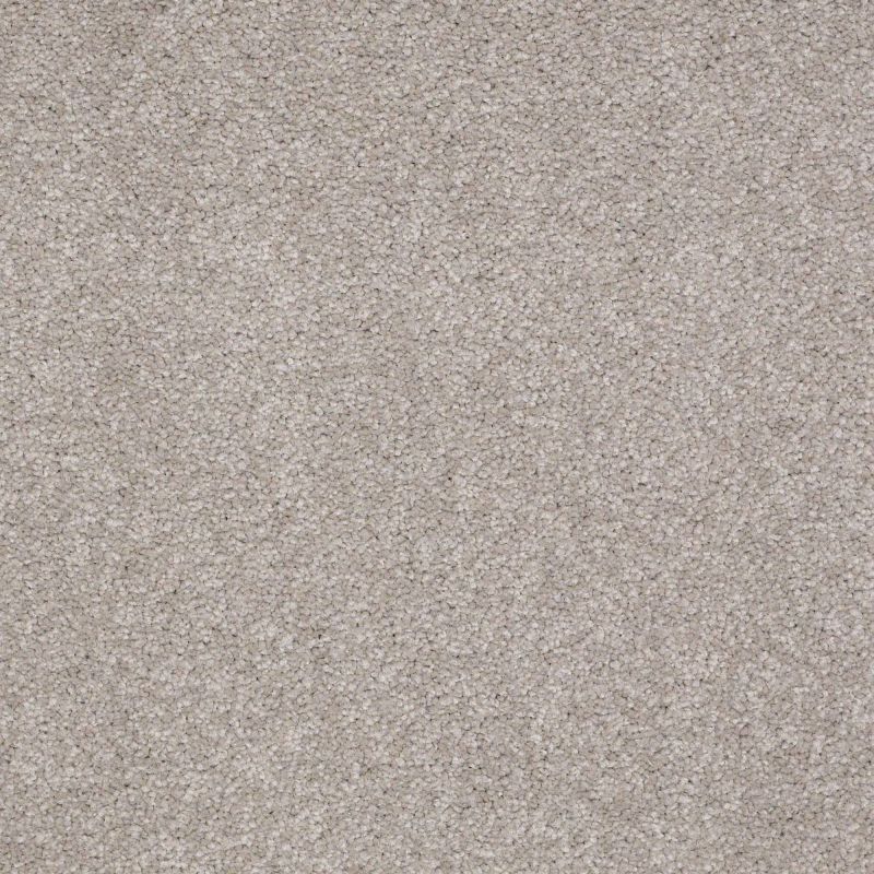Shaw Floors Value Collections Sandy Hollow Classic Iv 15' Ne London Fog