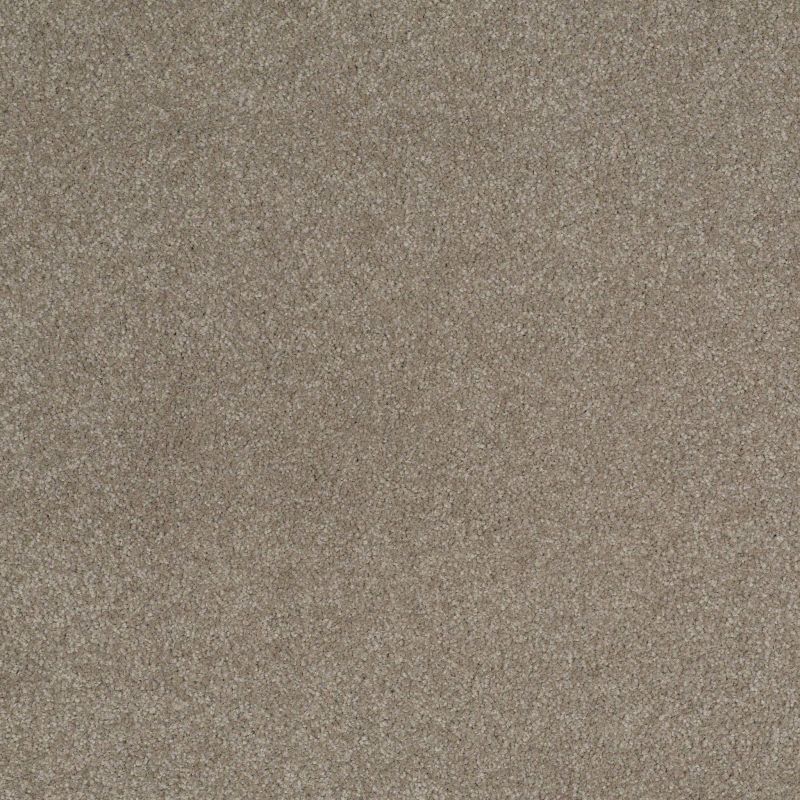 Shaw Floors Value Collections Sandy Hollow Classic Iv 15' Ne Wood Smoke