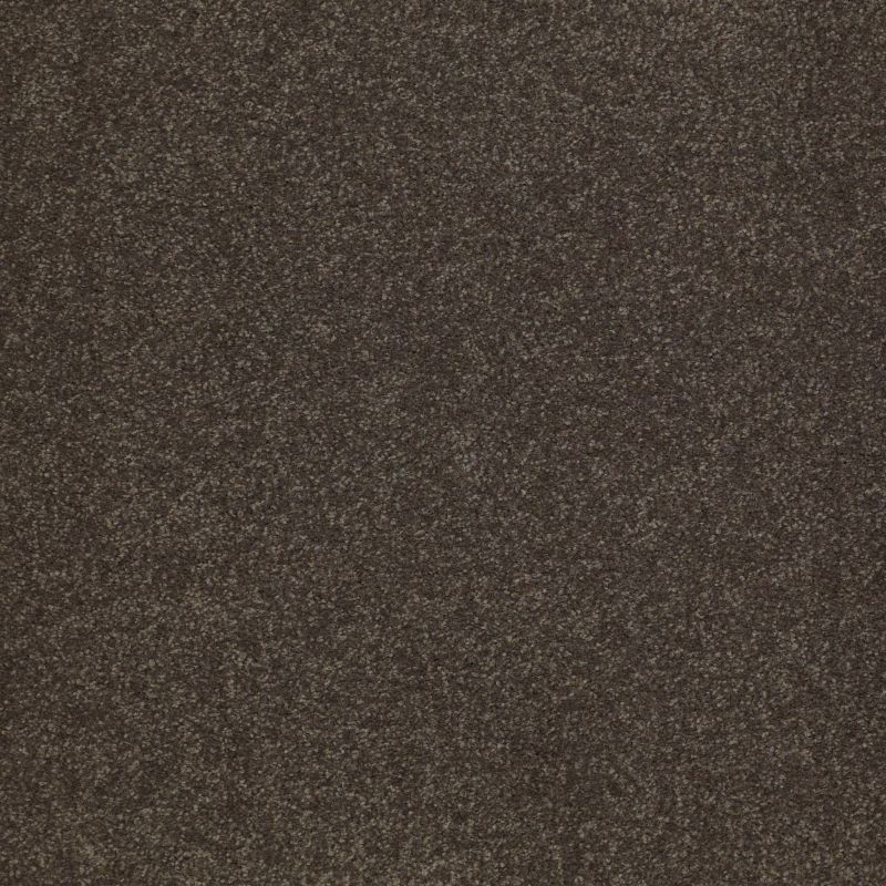 Shaw Floors Value Collections Sandy Hollow Classic Iv 15' Ne Arrowhead