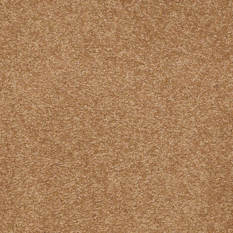 Shaw Floors Value Collections Sandy Hollow Classic Iv 15' Ne Peanut Brittle
