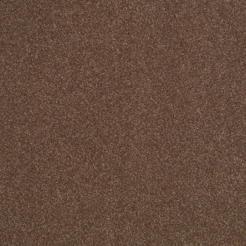 Shaw Floors Value Collections Sandy Hollow Classic Iv 15' Ne Wooden Box