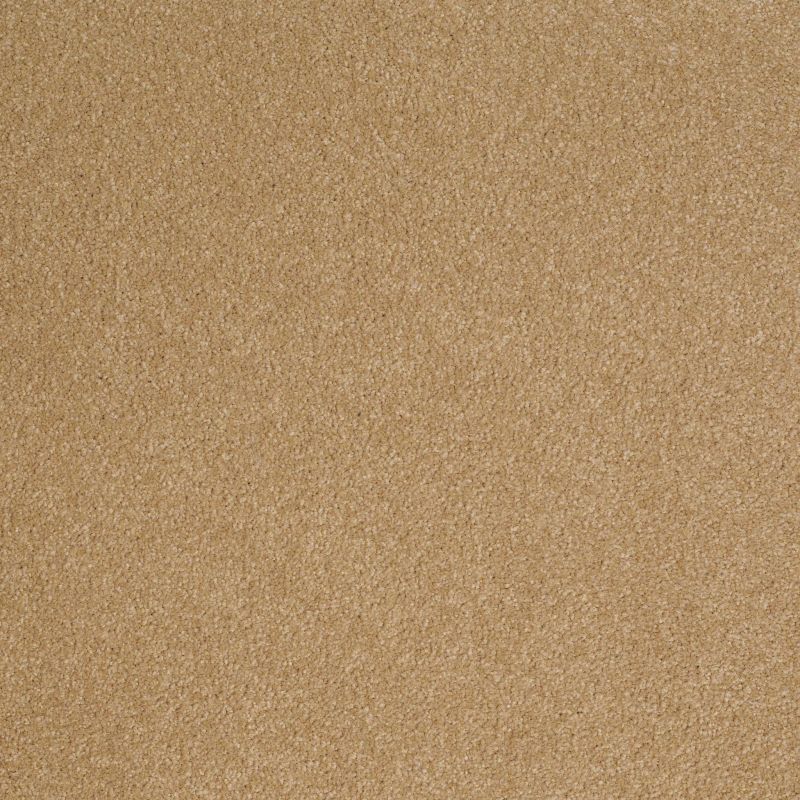 Shaw Floors Value Collections Sandy Hollow Classic Iv 15' Ne Cork