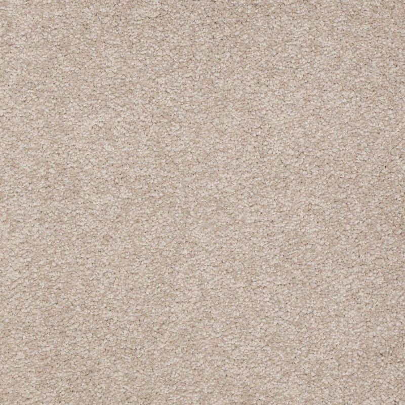 Shaw Floors Value Collections Sandy Hollow Classic I 15' Net Soft Shadow