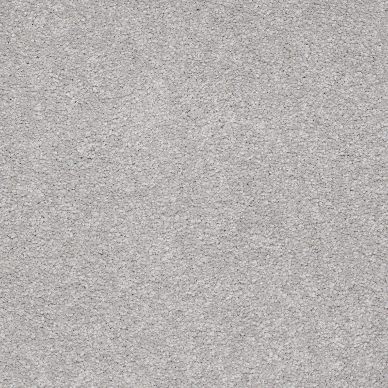 Shaw Floors Value Collections Sandy Hollow Classic I 15' Net Silver Charm