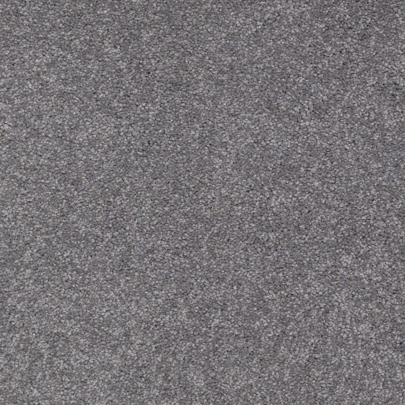 Shaw Floors Value Collections Sandy Hollow Classic I 15' Net Slate