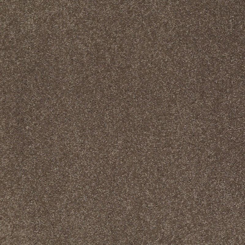 Shaw Floors Value Collections Sandy Hollow Classic I 15' Net Castle Rock