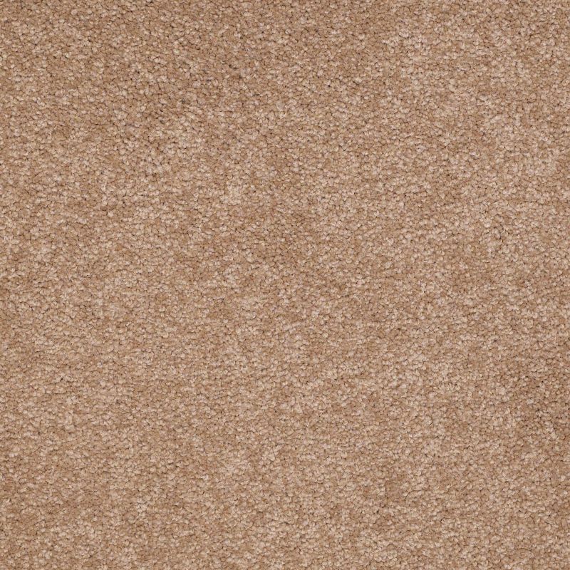 Shaw Floors Value Collections Sandy Hollow Classic I 15' Net Muffin