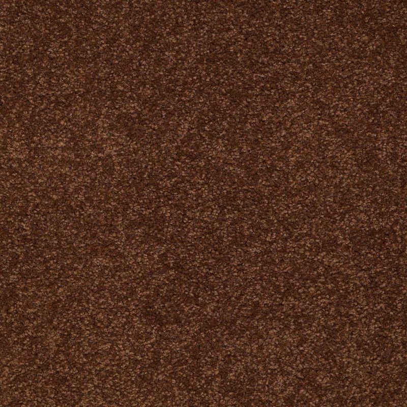 Shaw Floors Value Collections Sandy Hollow Classic I 15' Net Tortoise Shell