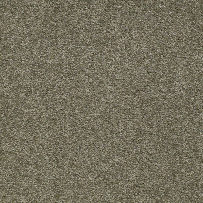 Shaw Floors Value Collections Sandy Hollow Classic II 15 Net Alpine Fern