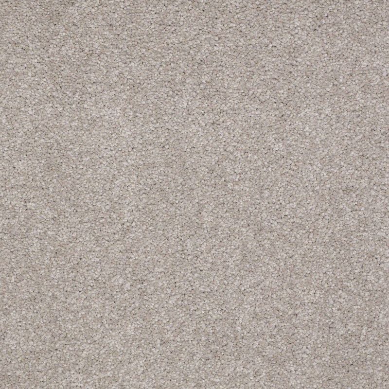 Shaw Floors Value Collections Sandy Hollow Classic II 15 Net London Fog