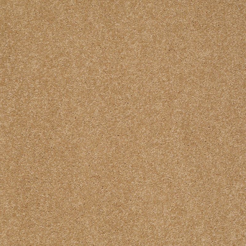 Shaw Floors Value Collections Sandy Hollow Classic II 15 Net Cork
