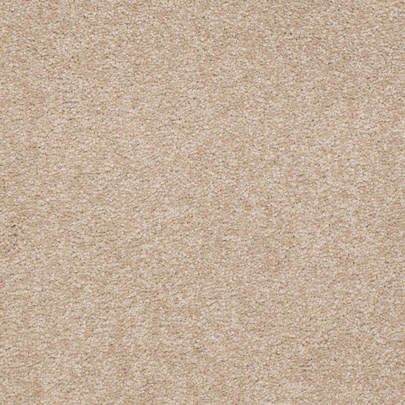 Shaw Floors Value Collections Sandy Hollow Classic III 15 Ne Adobe