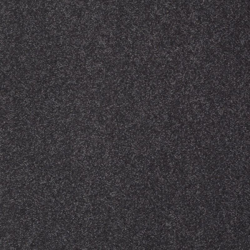 Shaw Floors Value Collections Sandy Hollow Classic III 15 Ne Dutch Boy