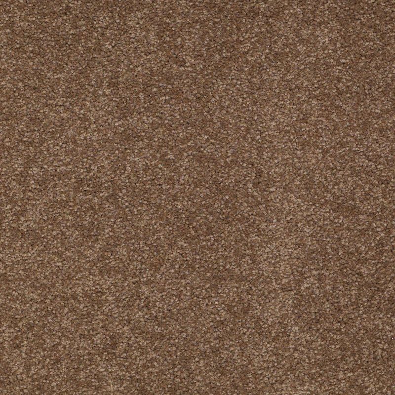 Shaw Floors Value Collections Sandy Hollow Classic III 15 Ne Pine Cone