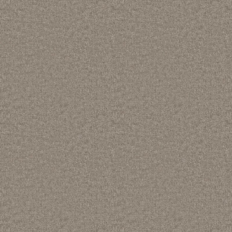 Shaw Floors Value Collections Positively Net Aspen Gray