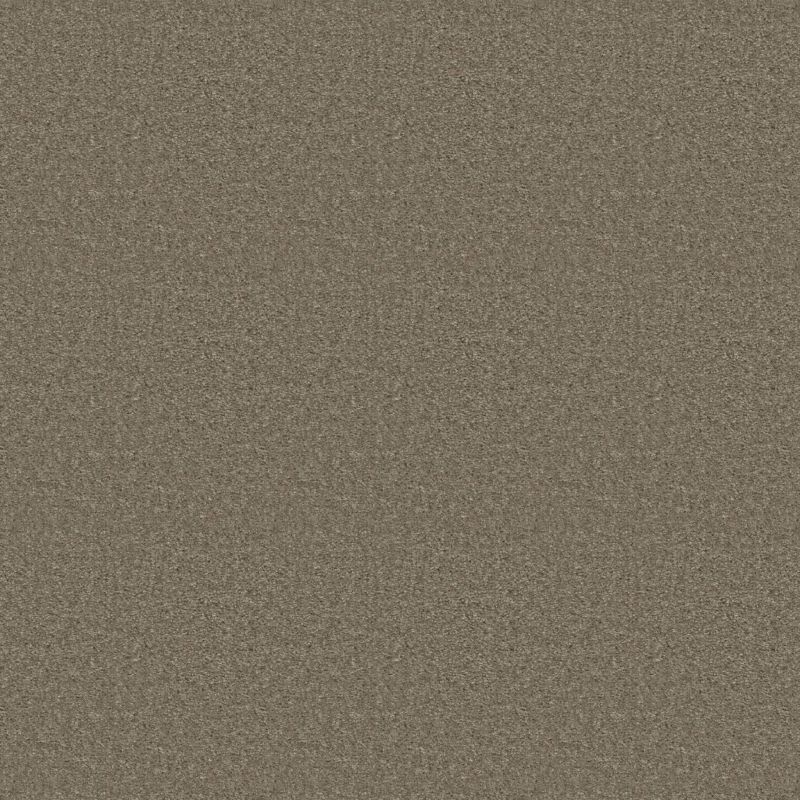 Shaw Floors Value Collections Positively Net Cape Cod
