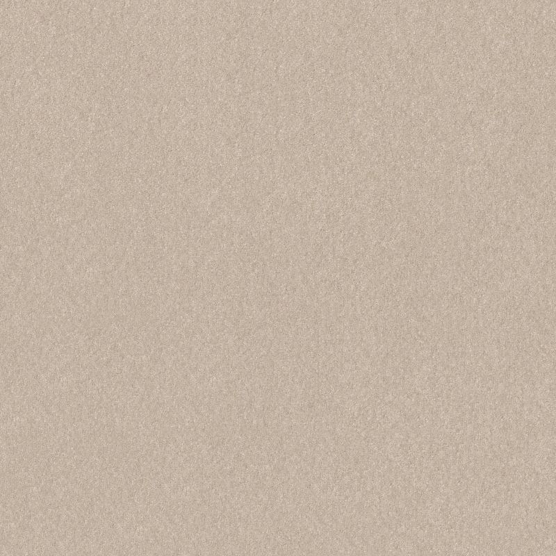 Shaw Floors Pet Perfect Hard At Play II 12' Warm Light