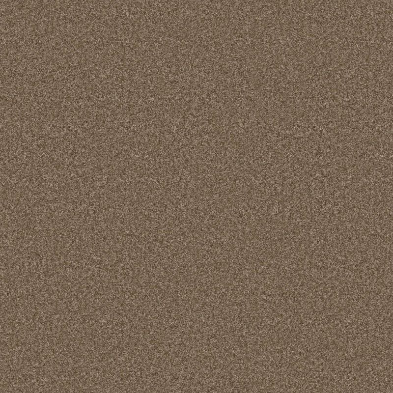 Shaw Floors Pet Perfect You Got This II Mission Ridge