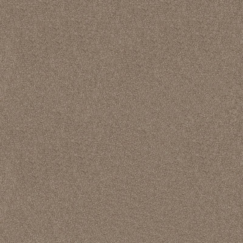 Shaw Floors Bountiful Beauty Sombrero