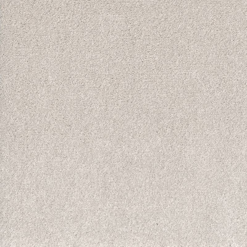 Shaw Floors Pet Perfect Posh Life Whitecap