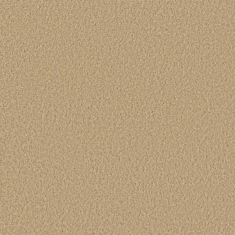 Shaw Floors Pet Perfect Posh Life Honeycomb