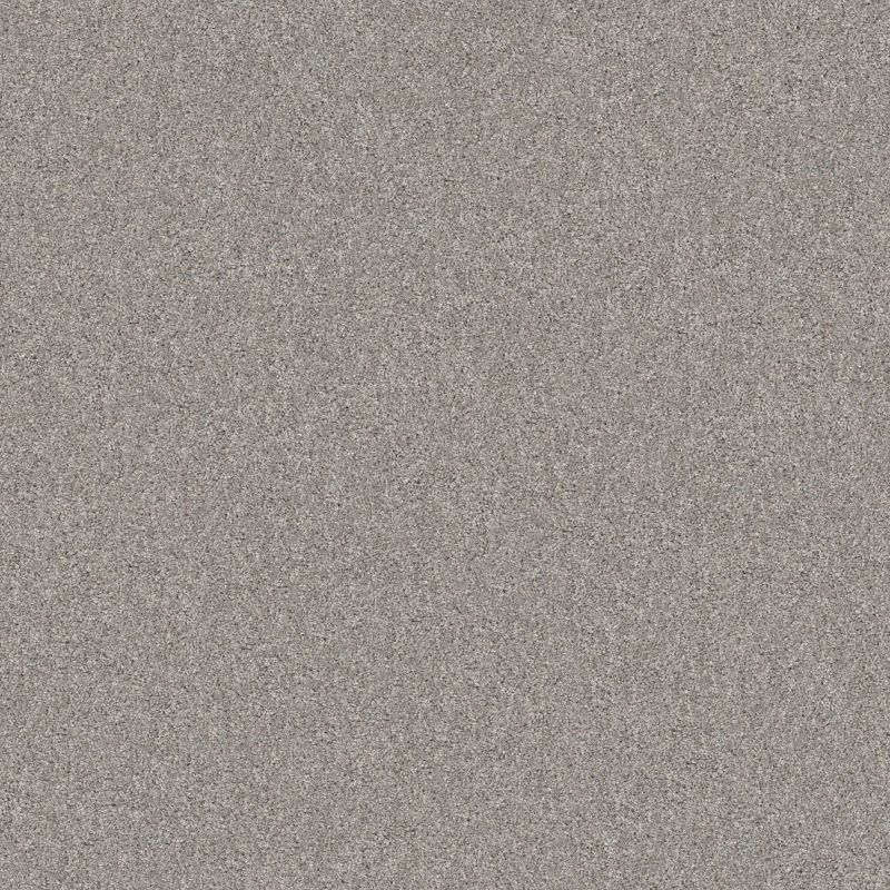 Shaw Floors Pet Perfect Yes You Can II 12' Rock Crystal