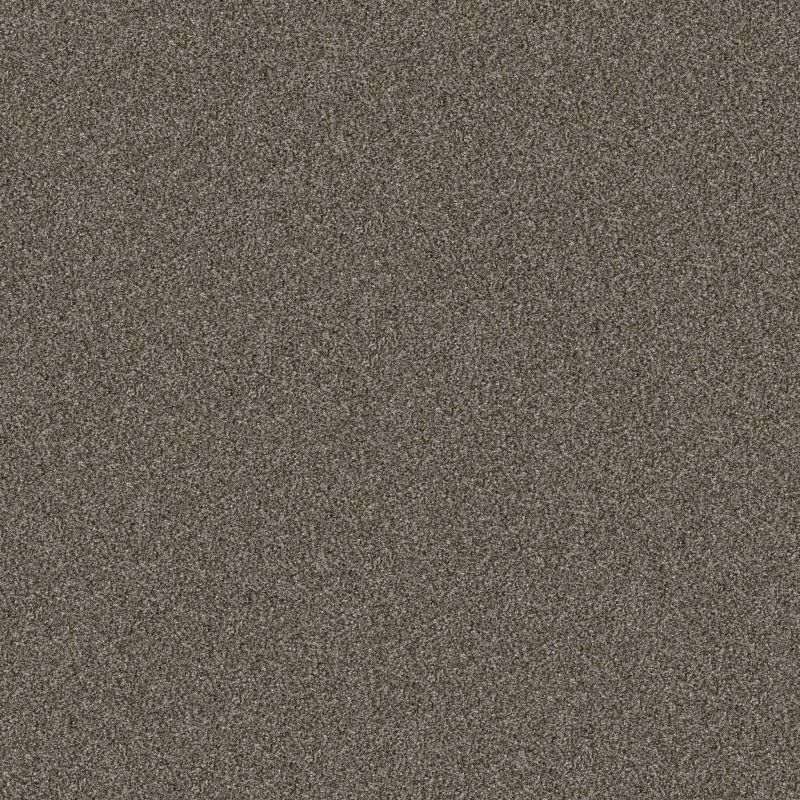 Shaw Floors Pet Perfect Yes You Can II 12' Urban Rustic
