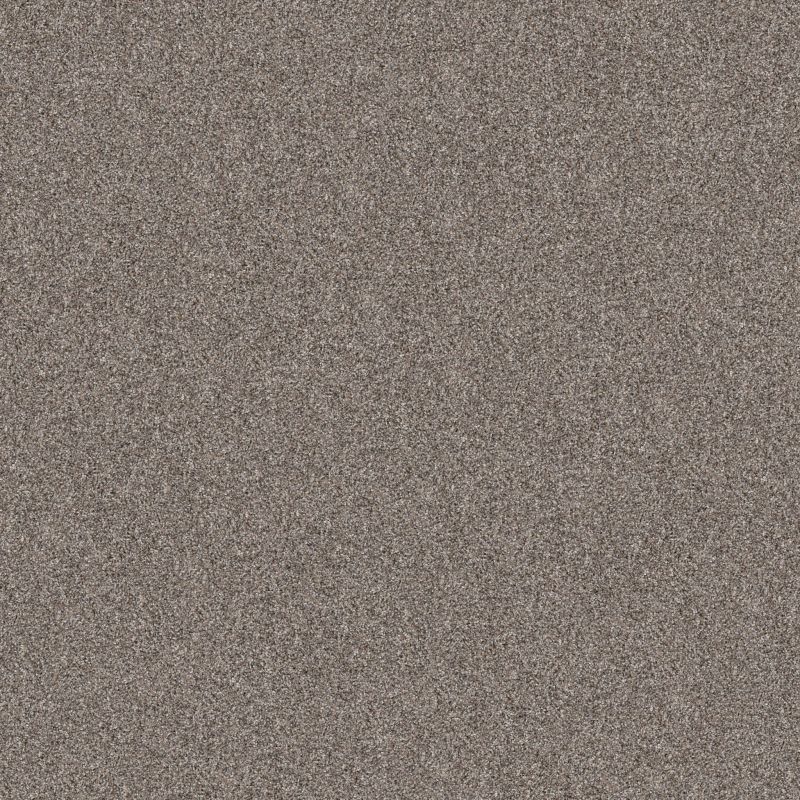 Shaw Floors Pet Perfect Yes You Can III 12' Chic Greige
