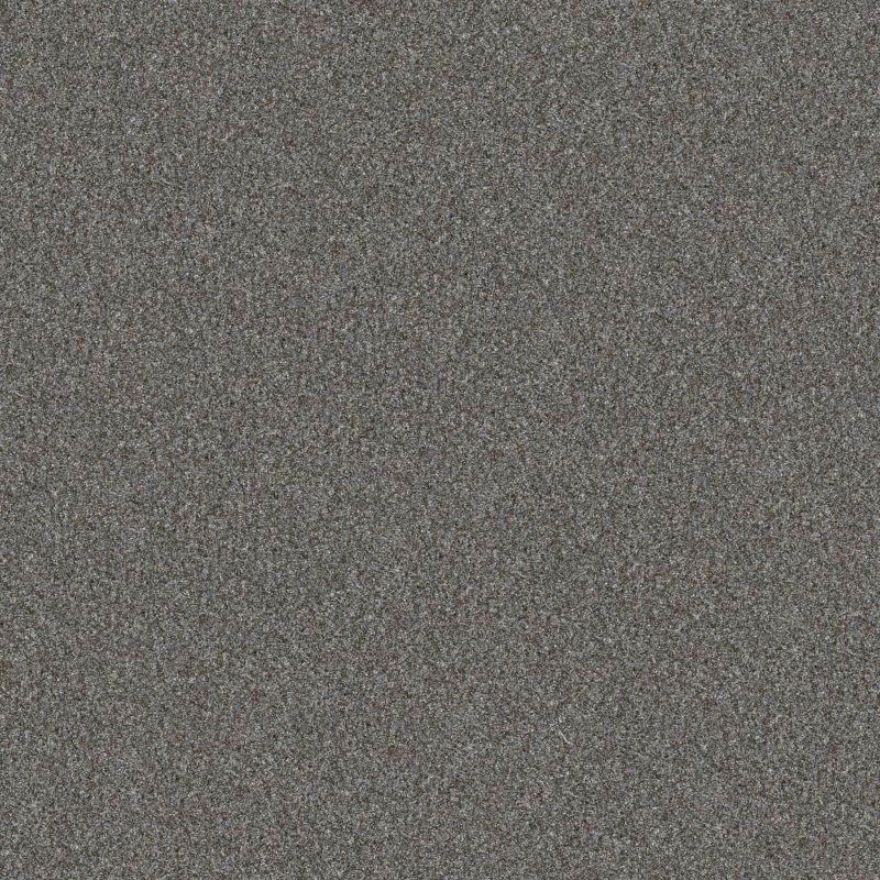 Shaw Floors Pet Perfect Yes You Can III 12' Sea Ice