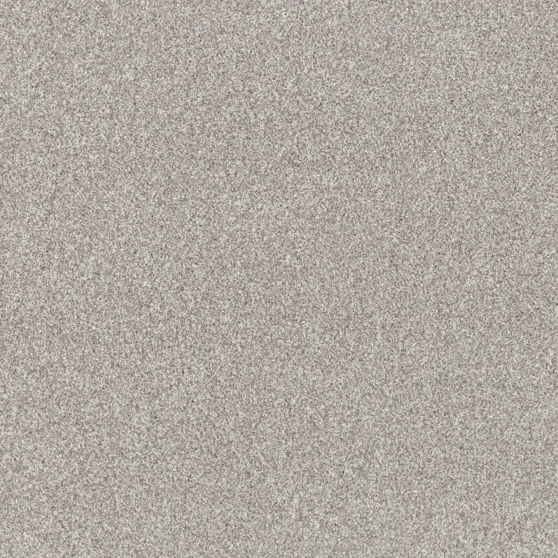 Shaw Floors Pet Perfect Yes You Can II 15' Frozen