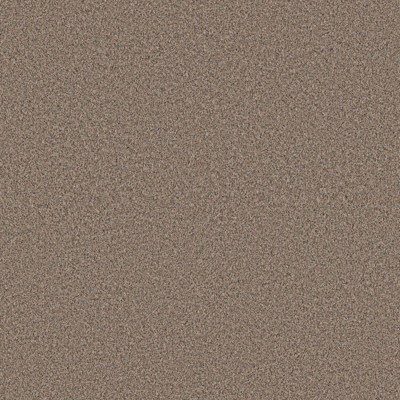 Shaw Floors Pet Perfect Plus Artistic Fusion I Moonwalk