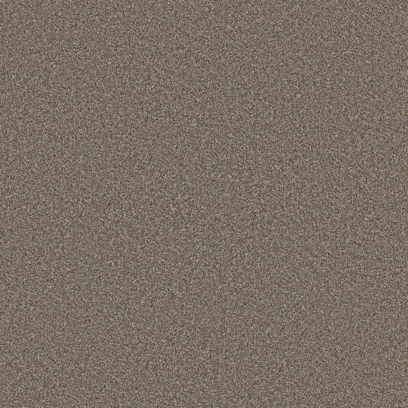 Shaw Floors Pet Perfect Plus Artistic Fusion II Cashmere