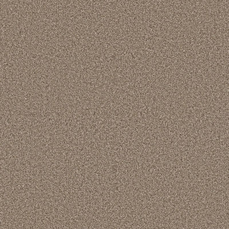 Shaw Floors Pet Perfect Plus Artistic Fusion II Cameo