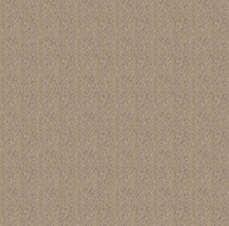 Shaw Floors Pet Perfect Plus Light Impressions Worn Path