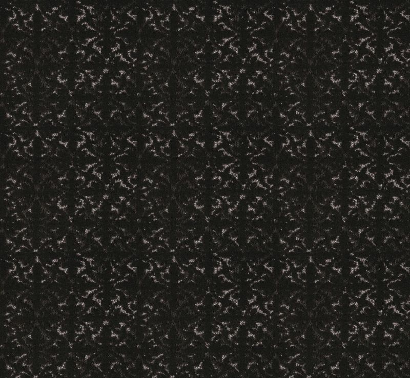 Shaw Floors Pet Perfect Plus Light Impressions Cafe Noir