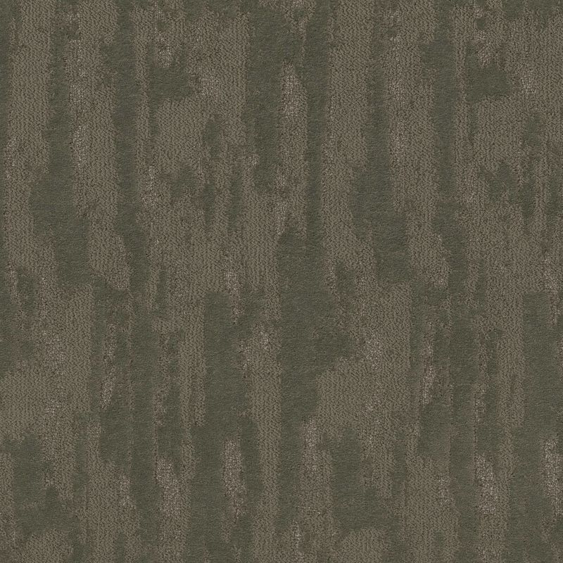 Shaw Floors Pet Perfect Plus Tranquil Spirit Rerooted Nature