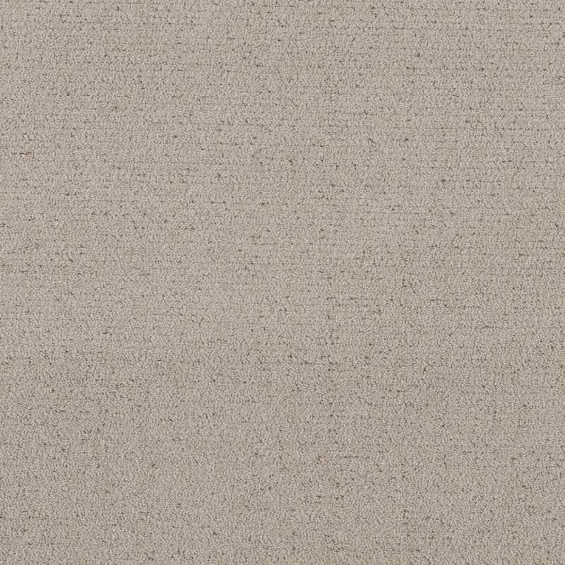 Shaw Floors Pet Perfect Intricate Trace River Birch