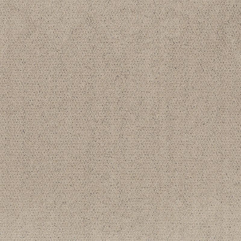 Shaw Floors Pet Perfect Intricate Trace Warm Light