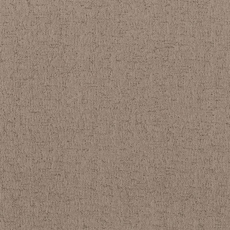 Shaw Floors Pet Perfect Run Free Cameo
