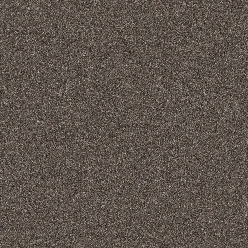 Shaw Floors Pet Perfect Yes You Can II 12' Net Cafe Noir