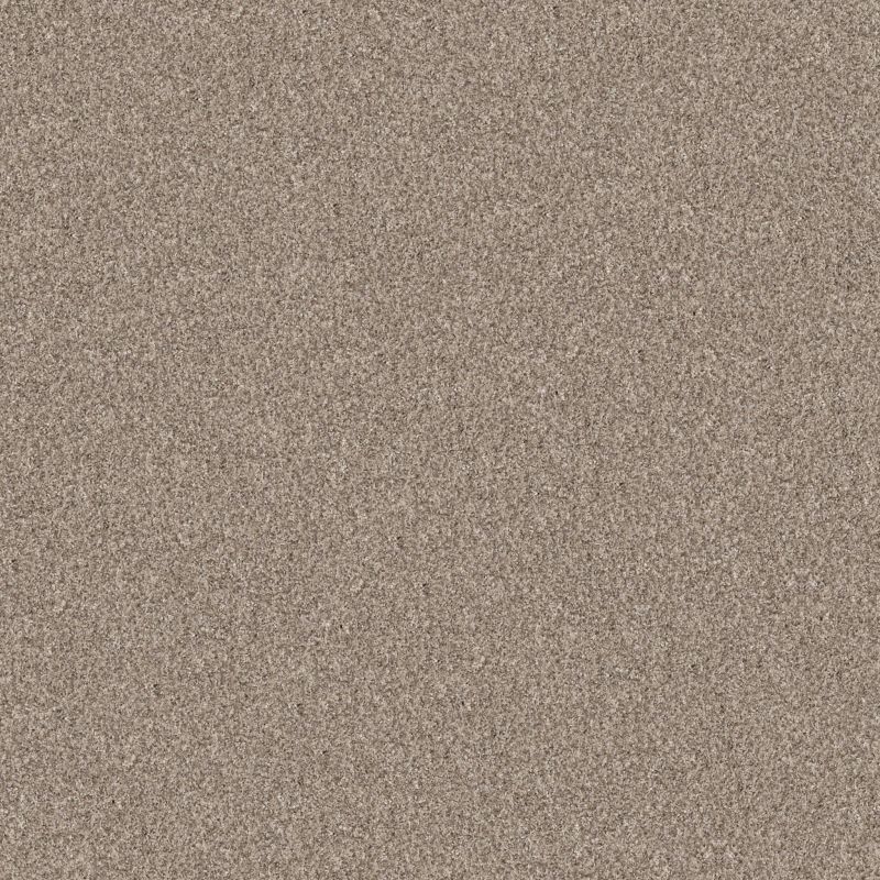 Shaw Floors Pet Perfect Yes You Can III 12' Net Natural
