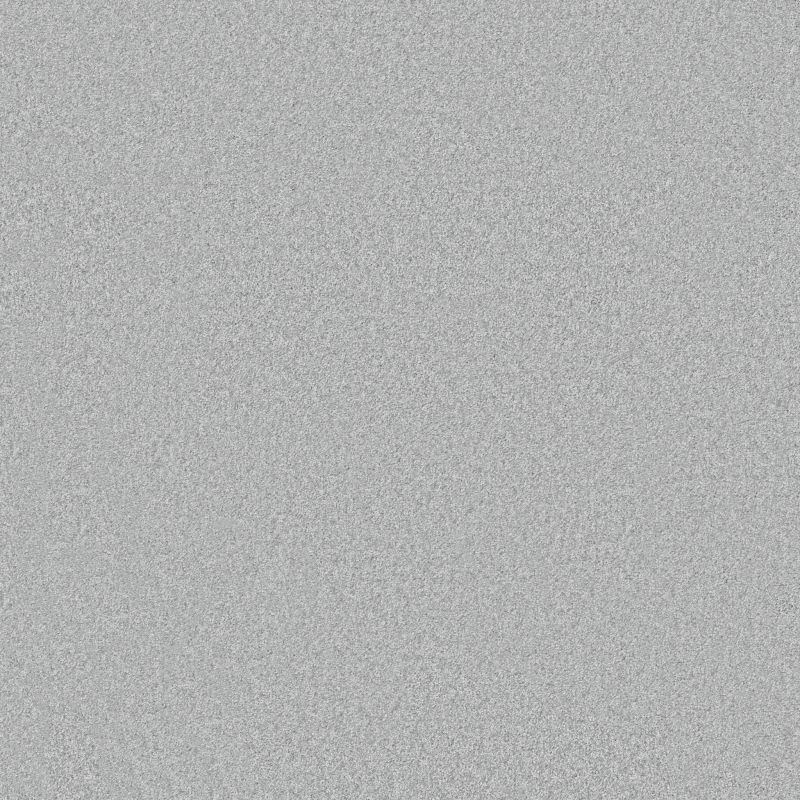 Shaw Floors Pet Perfect You Got This II Net Serene Blue