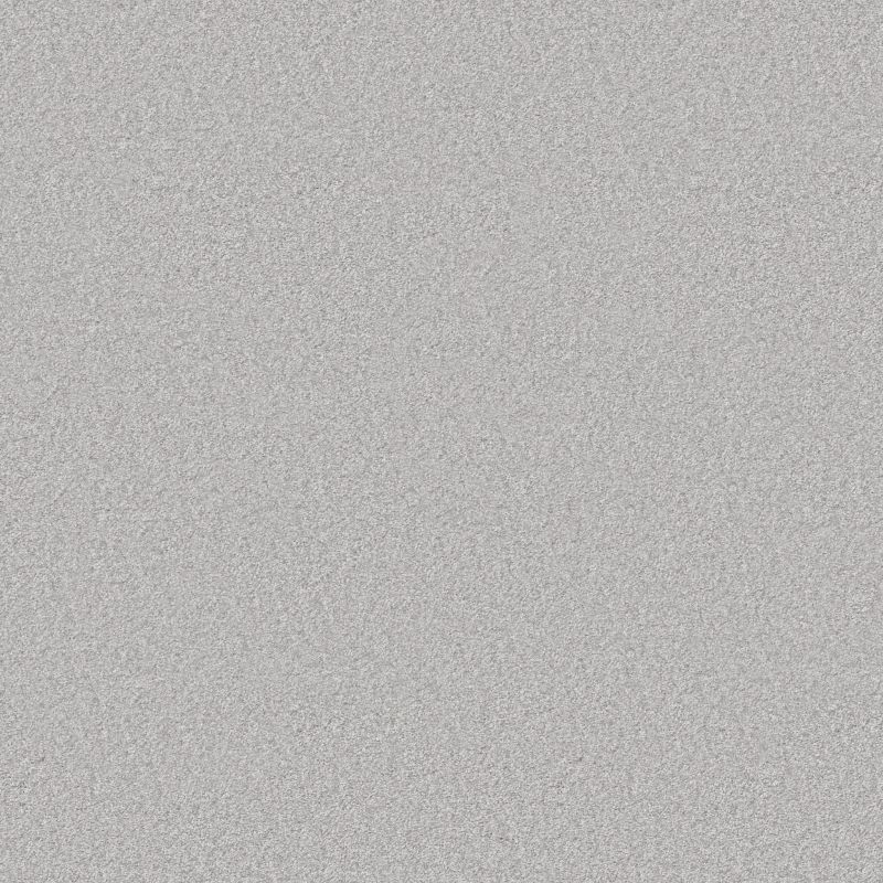 Shaw Floors Pet Perfect You Got This III Net Lilac Gray