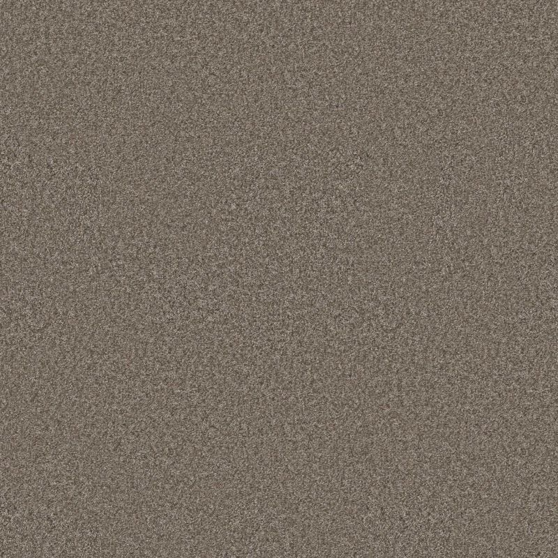 Shaw Floors Pet Perfect You Got This III Net Cobblestone