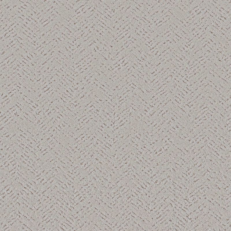 Shaw Floors Pet Perfect Favoured Path Net Cashmere