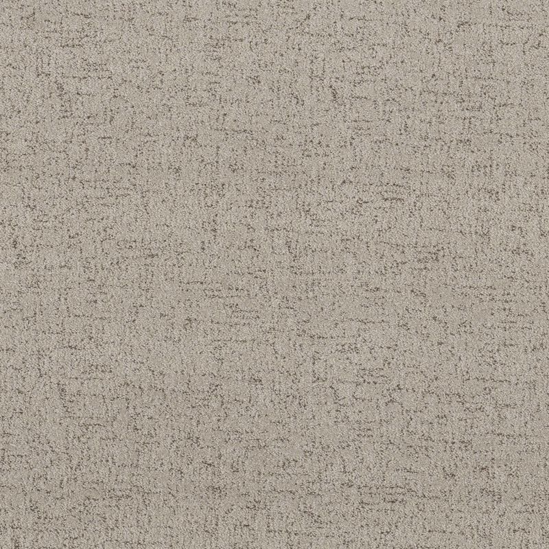 Shaw Floors Pet Perfect Run Free Net River Birch