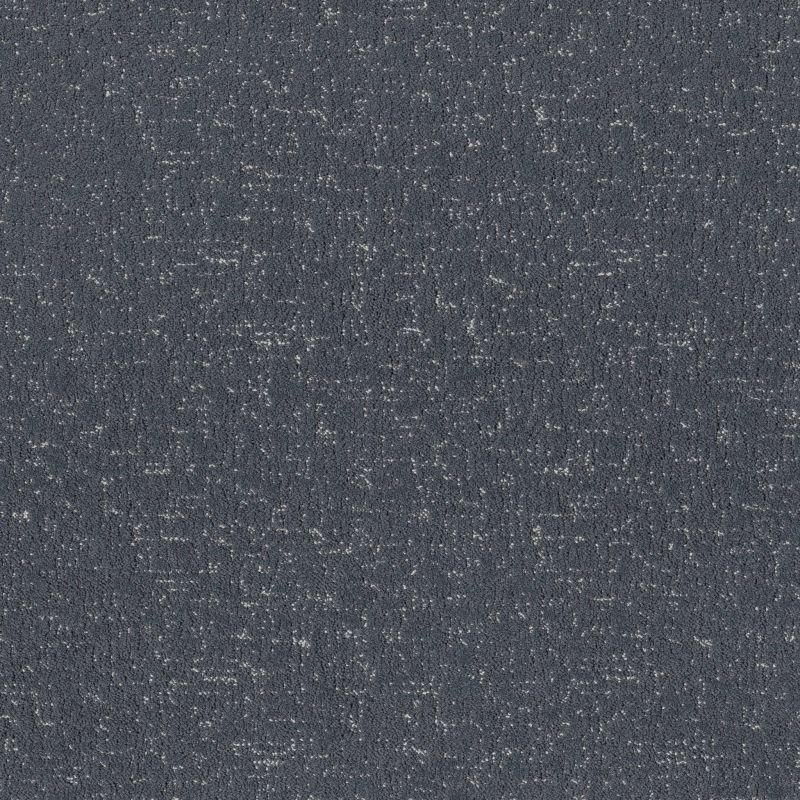Shaw Floors Pet Perfect Run Free Net Refined