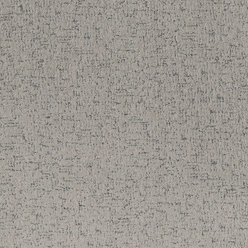 Shaw Floors Pet Perfect Run Free Net Flannel