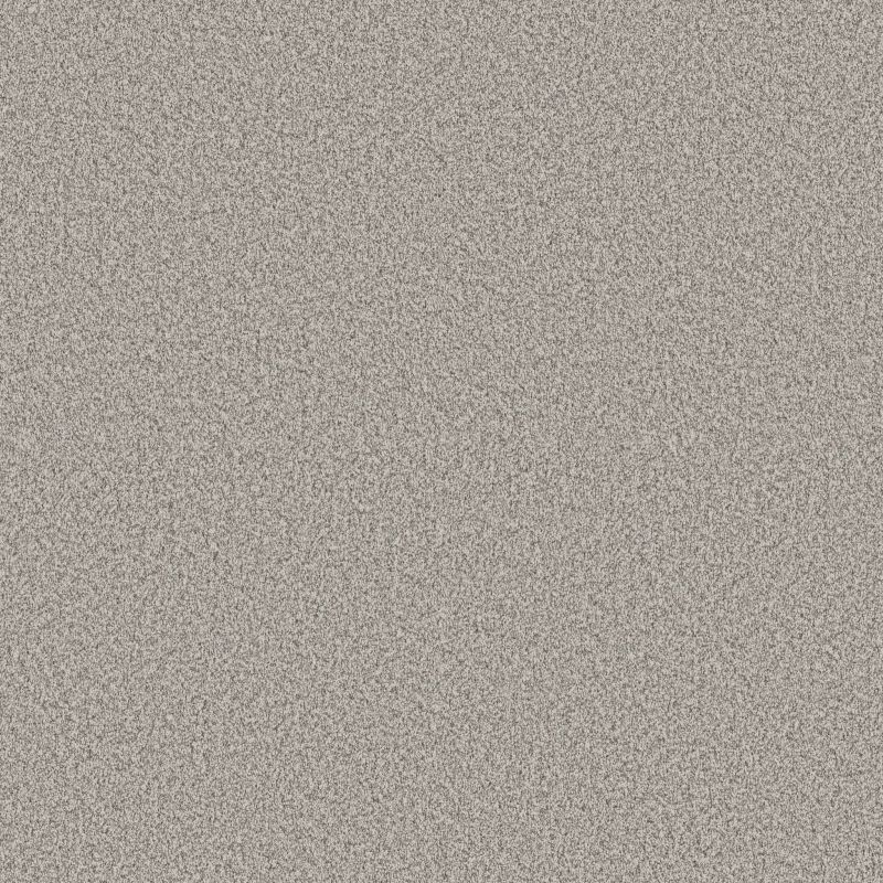 Shaw Floors Pet Perfect Plus Artistic Fusion I Net Frozen